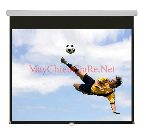 màn chiếu treo tường 100 inch